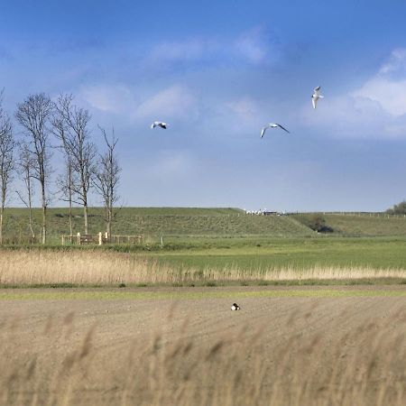 Rustic Holiday Home In Wissenkerke With Garden エクステリア 写真
